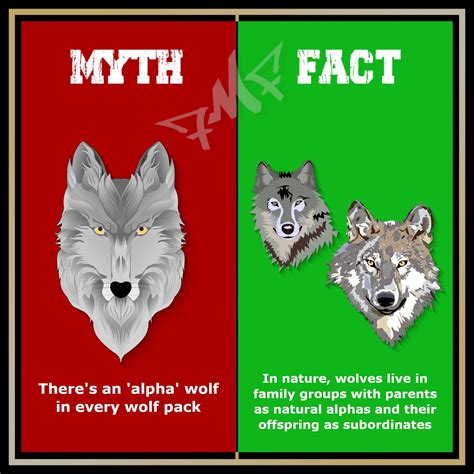 omega wolf pack